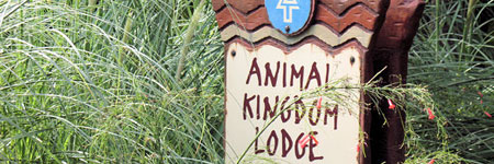 Animal Kingdom Lodge